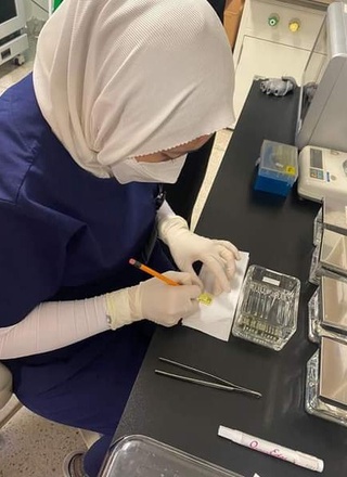 Бачадон бўйни саратонига бепул текширувлар энди Самарқандда ҳам йўлга қўйилди