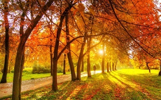 Прогноз погоды на 10 декабря