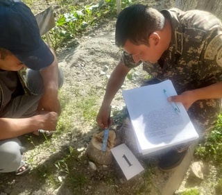 Фуқаро дарахт кесгани учун салкам 10 миллион сўм жарима тўлади