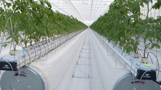 Дар Ӯзбекистон бо кӯмаки коршиносони исроилӣ дар соли 2021 гармхонаҳои насли панҷум ба кор дароварда мешаванд