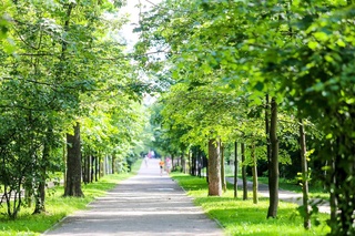 В выходные дни жара немного спадет