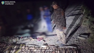 Навоийда "Қизил китоб"га киритилган балиқларни овлаган шахсларга чора кўрилди