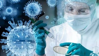 Выявлен новый штамм коронавируса «йота» с летальностью до 82%