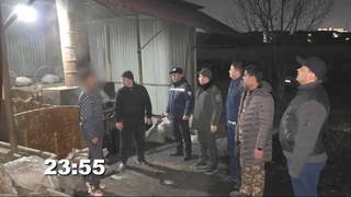 Toshkent viloyatidagi issiqxonalarda tungi nazorat tadbirlari oʻtkazildi