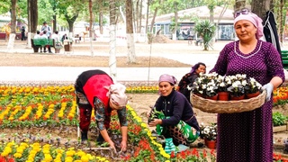 Norin tumani gulchilari tashabbusni qoʻlga oldi