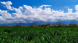 Ғәле тәрбиясында ҳәр бир күн әҳмийетли