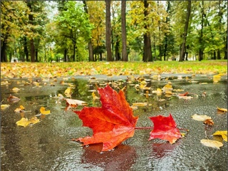 В воскресенье узбекистанцев ожидают дожди и похолодание