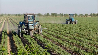 Фермерам возместят часть расходов на страховку урожая