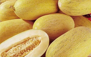 В Шанхае прошла презентация узбекских дынь