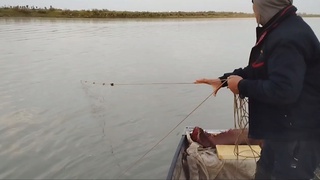 Brakonyerlar tabiat himoyachilariga hujum qildi