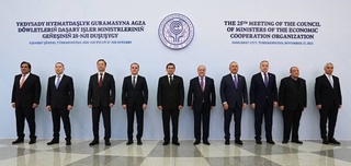 Состоялось заседание СМИД ОЭС