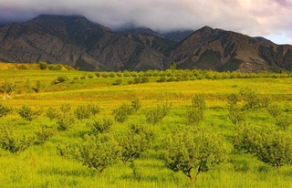 Апта ішінде республика аумағының басым бөлігі жоғары циклонның ықпалында болады - Узгидромет