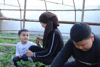 Пискент тажрибаси: “Маҳаллабай” тизимда муаммолар негизи билан ҳал этилмоқда