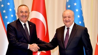 Министры иностранных дел Узбекистана и Турции провели переговоры