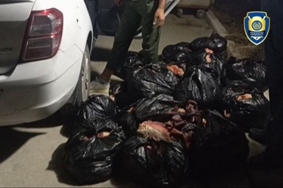 Қашқадарёда истеъмолга яроқсиз гўшт маҳсулотларини олиб кетаётган шахс ушланди