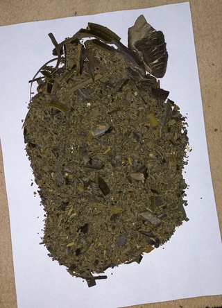 Бухородаги хонадонларнинг биридан порох топилди