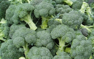 В Узбекистане в 2022 году площади посева капусты брокколи составят 1,3 тысячи гектаров