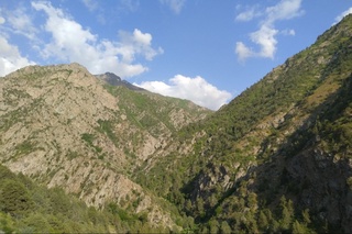 Bugun kunduzi respublika boʻyicha yogʻingarchilik kutilmaydi — Oʻzgidromet