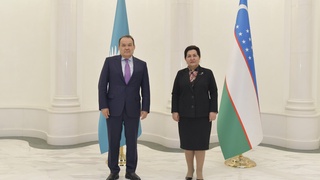 Танзила Нарбаева встретилась с Генеральным секретарем  Совета сотрудничества тюркоязычных государств