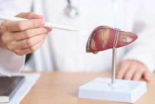 Олимони ИМА ҷигарро бевосита дар организми инсон парвариш карданд