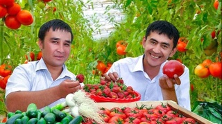 Узбекистан на пути к Саммиту ООН по продовольственным системам