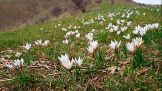 Dam olish kunlari iliq va asosan yogʻingarchiliksiz ob-havo kutilmoqda