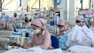 Tadbirkorlarga sanitariya-epidemiologik osoyishtalik belgisi beriladi