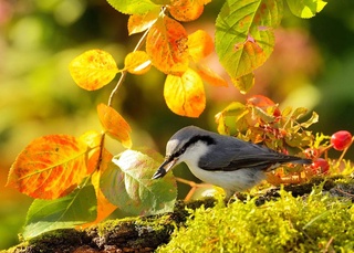 Пешгӯии обу ҳаво барои 19 октябр