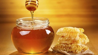 Honey export has grown almost 5 times
