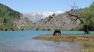 Совершенствование природоохранного законодательства с учетом зарубежного опыта