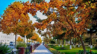 Ҳафтаи равон дар Ӯзбекистон ҳавои сард идома хоҳад ёфт