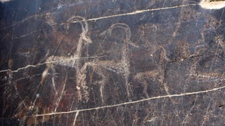 Природная загадка возрастом в тысячу лет