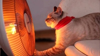 Прогноз на неделю 24-27 мая