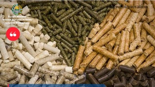 Бухоро вилояти олимлари томонидан ишлаб чиқилган лойиҳалар молиялаштирилади