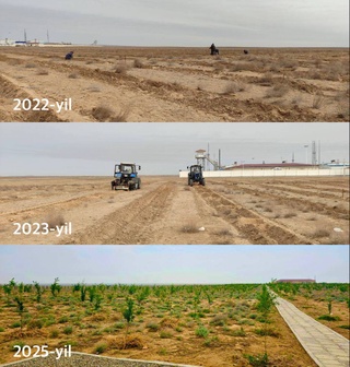 Жизнь возможна даже в пустыне!