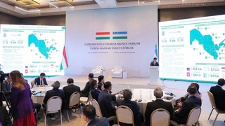 Узбекско-Венгерский бизнес-форум в рамках Первого Саммита Организации тюркских государств