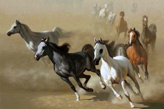 Qonli urushlarga sabab bo'lgan ot zoti haqida bilasizmi?