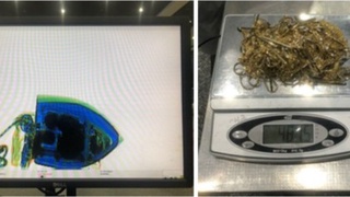 Божхоначилар «тилла дазмол»ни фош этишди