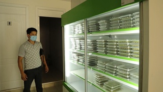 Пандемия шароитида картошканинг янги навлари яратилди