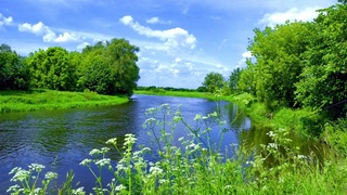 Weather forecast for August 9