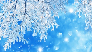 Осмоннинг бергани — ободлик