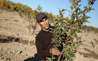 По маршрутам развития региона Приаралья