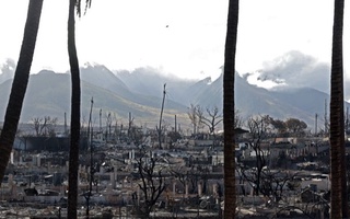 Гавайидаги ёнғин: қурбонлар сони 110 кишига етди