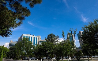 Ҳафта охирларига бориб ҳарорат бироз пасаяди