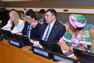 Узбекистан представил в ООН инициативу по глобальному лесовосстановлению и устойчивому управлению лесами