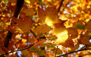 Прогноз погоды на 8 ноября