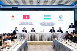 Өзбекстан мен Вьетнам визасыз режим енгізуді жоспарлауда