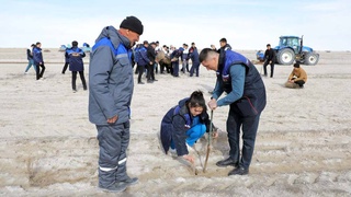 Зеленый покров Арала, или Фабрика по производству чистого воздуха