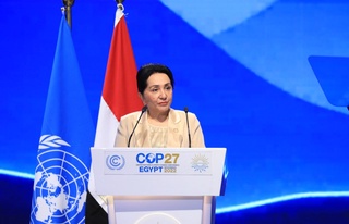 Танзила Нарбаева: Биргаликдаги саъй-ҳаракатлар билангина иқлим ўзгаришига қарши курашиш мумкин