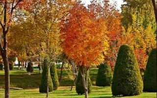 Прогноз погоды на 21 сентября